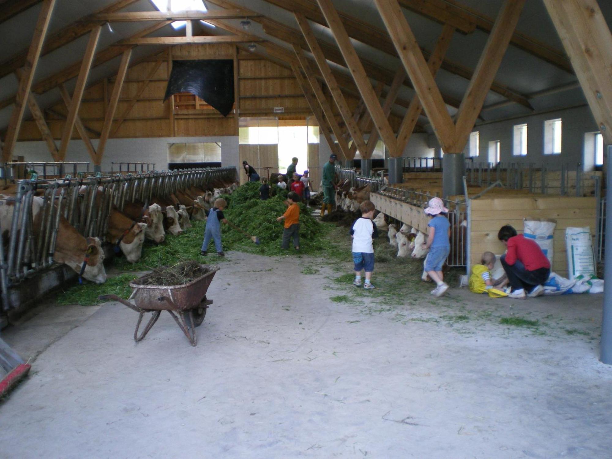Saint Wolfgang Russbachbauer 빌라 외부 사진