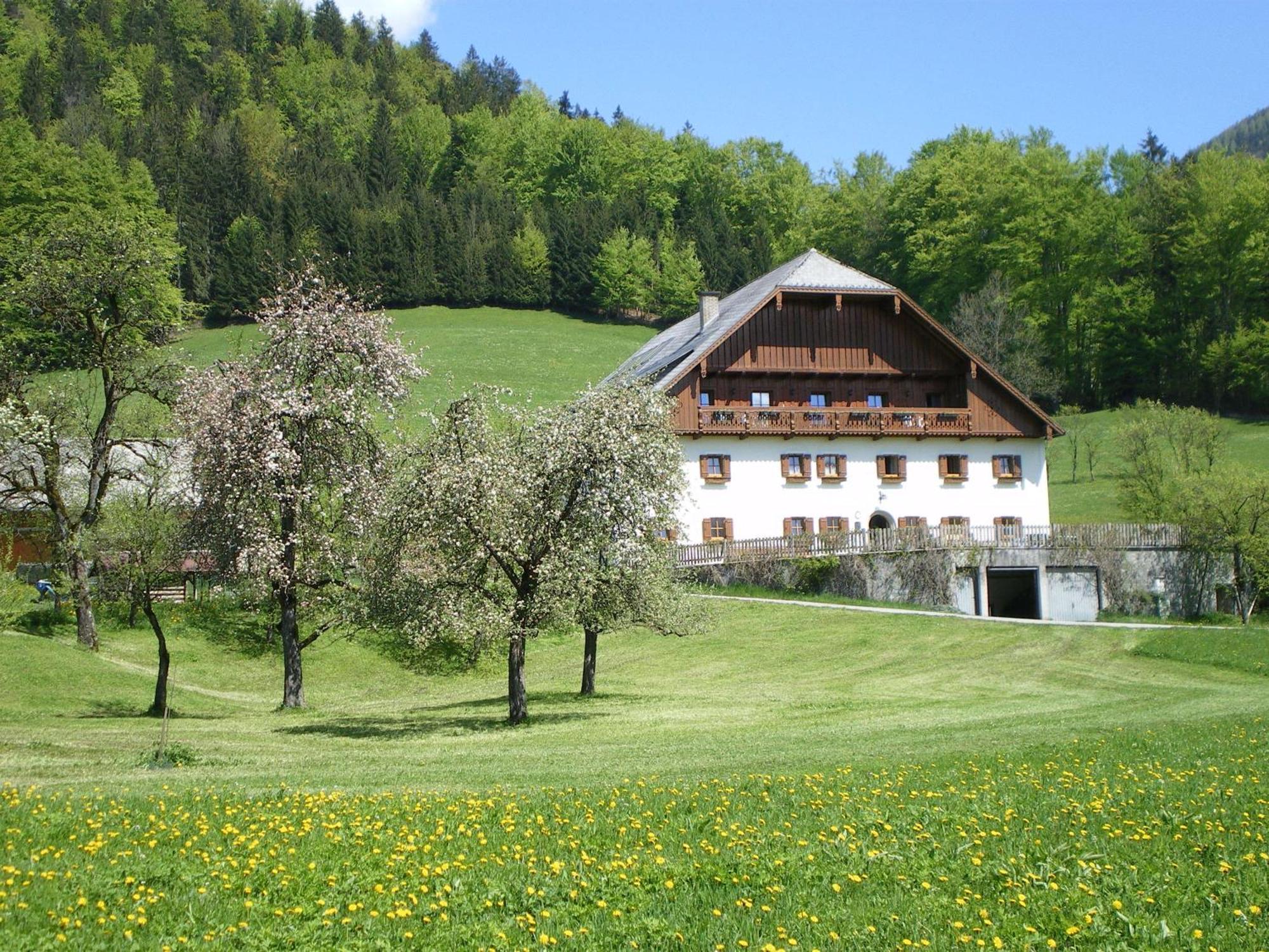 Saint Wolfgang Russbachbauer 빌라 외부 사진